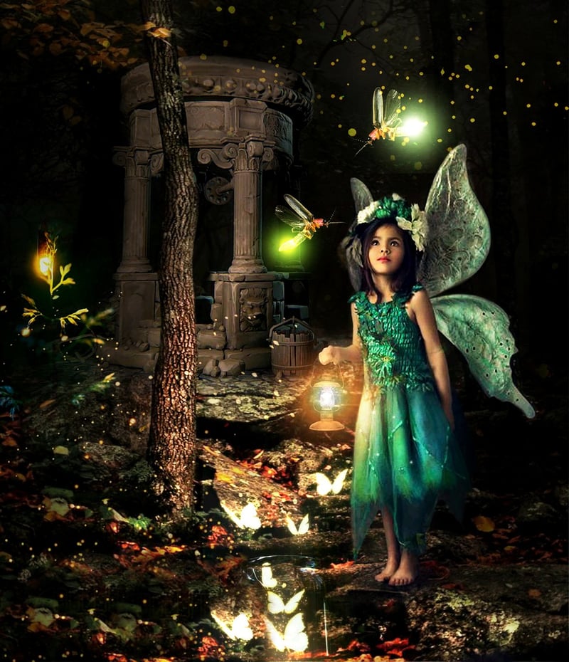 Midsummer Night's Dream