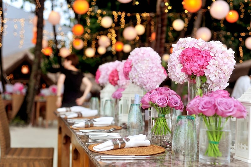 Fairy Lights Wonderland
